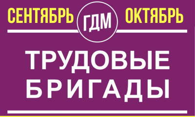 ОТКРЫТА ОНЛАЙН-ЗАПИСЬ НА ОЧНУЮ ПОДАЧУ ДОКУМЕНТОВ В ТРУДОВЫЕ БРИГАДЫ НА ОСЕНЬ