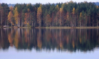 Поддержка семей погибших. Приглашаем Вас провести выходные на базе отдыха Загородный клуб "Сосны"