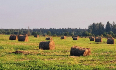 Вести с полей