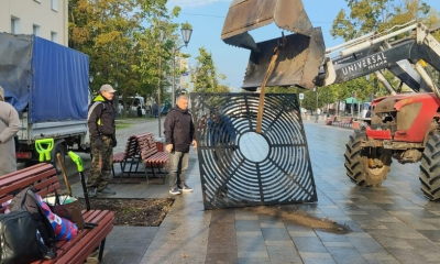 Посадка деревьев в Гатчине