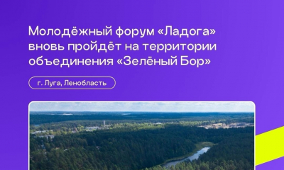 Хвойный лес, бассейн, комфортные номера и озеро — всё это для участников Ладоги!