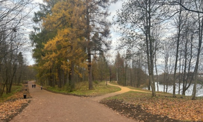 В Приоратском парке завершился второй этап ремонта дорожно-тропиночной сети
