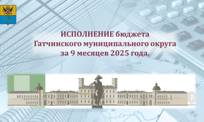 Отчет об исполнении бюджета