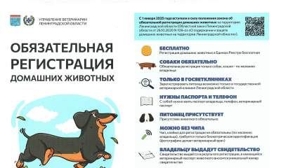 Информация Управления ветеринарии Ленинградской области