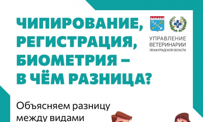 Чипирование, регистрация, биометрия - в чём разница?