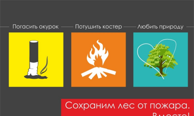 Берегите лес от пожара!