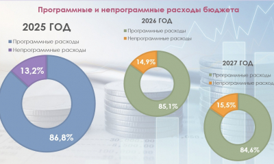 Эффективное управление: бюджет Гатчинского муниципального округа как результат целенаправленного программного подхода