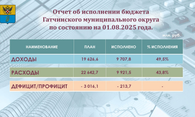 Отчет об исполнении бюджета Гатчинского муниципального округа на 01 августа 2025 года