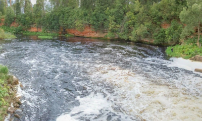 Памятник природы - Обнажения девона на р. Оредеж у пос. Белогорка