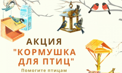Акция «Кормушка для птиц»: давайте поможем пернатым друзьям!