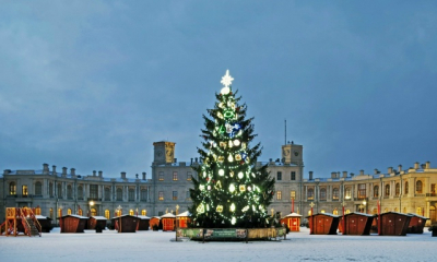 Рождественская ярмарка в Гатчине!