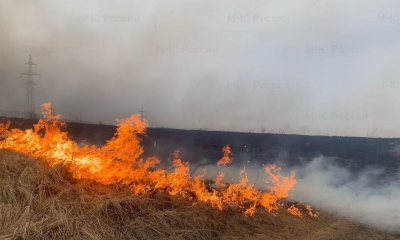 Пал травы — угроза рядом!